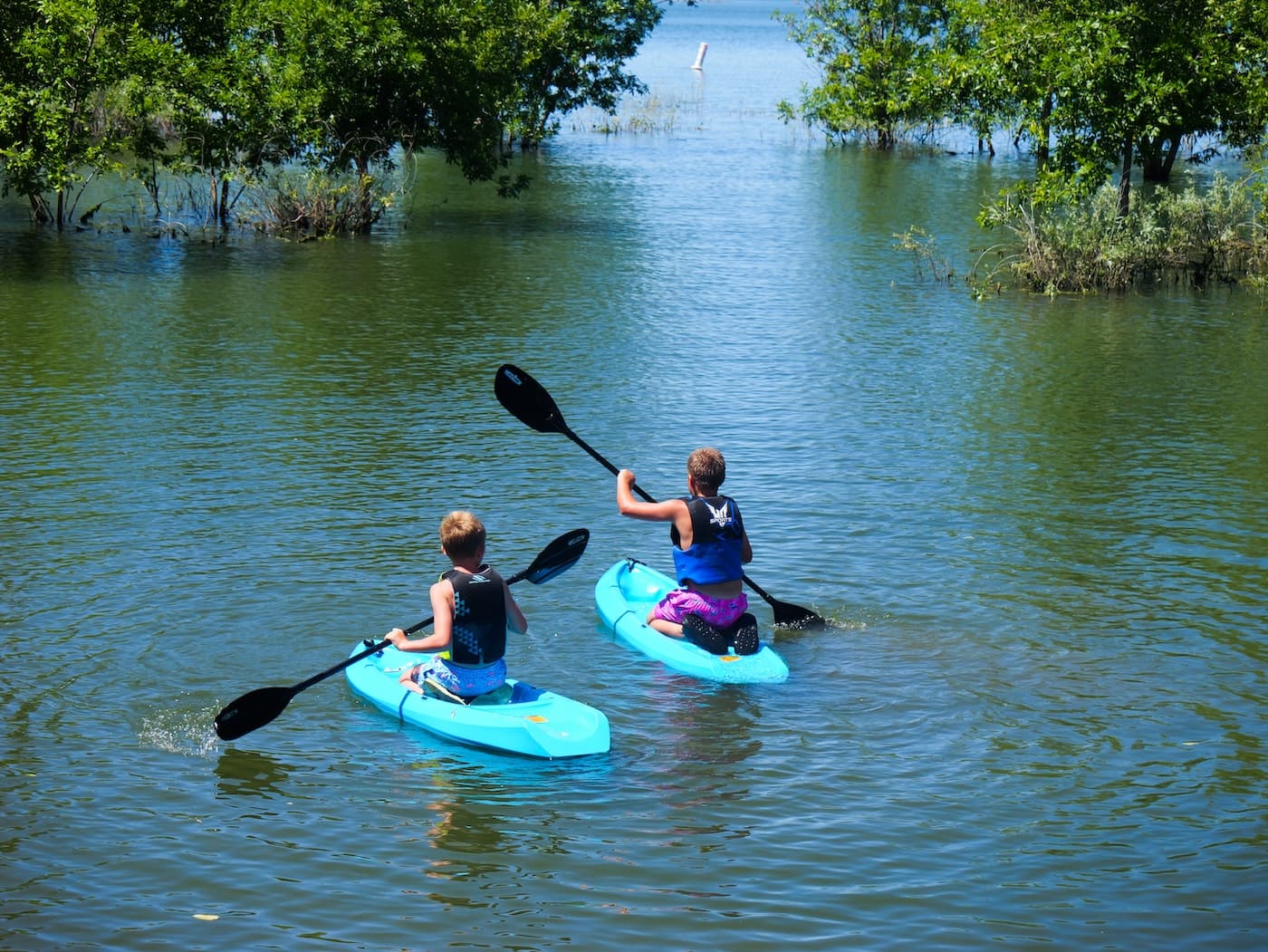 Two kayakers paddling into the flooded timber at the north end of Potholes Reservoir
