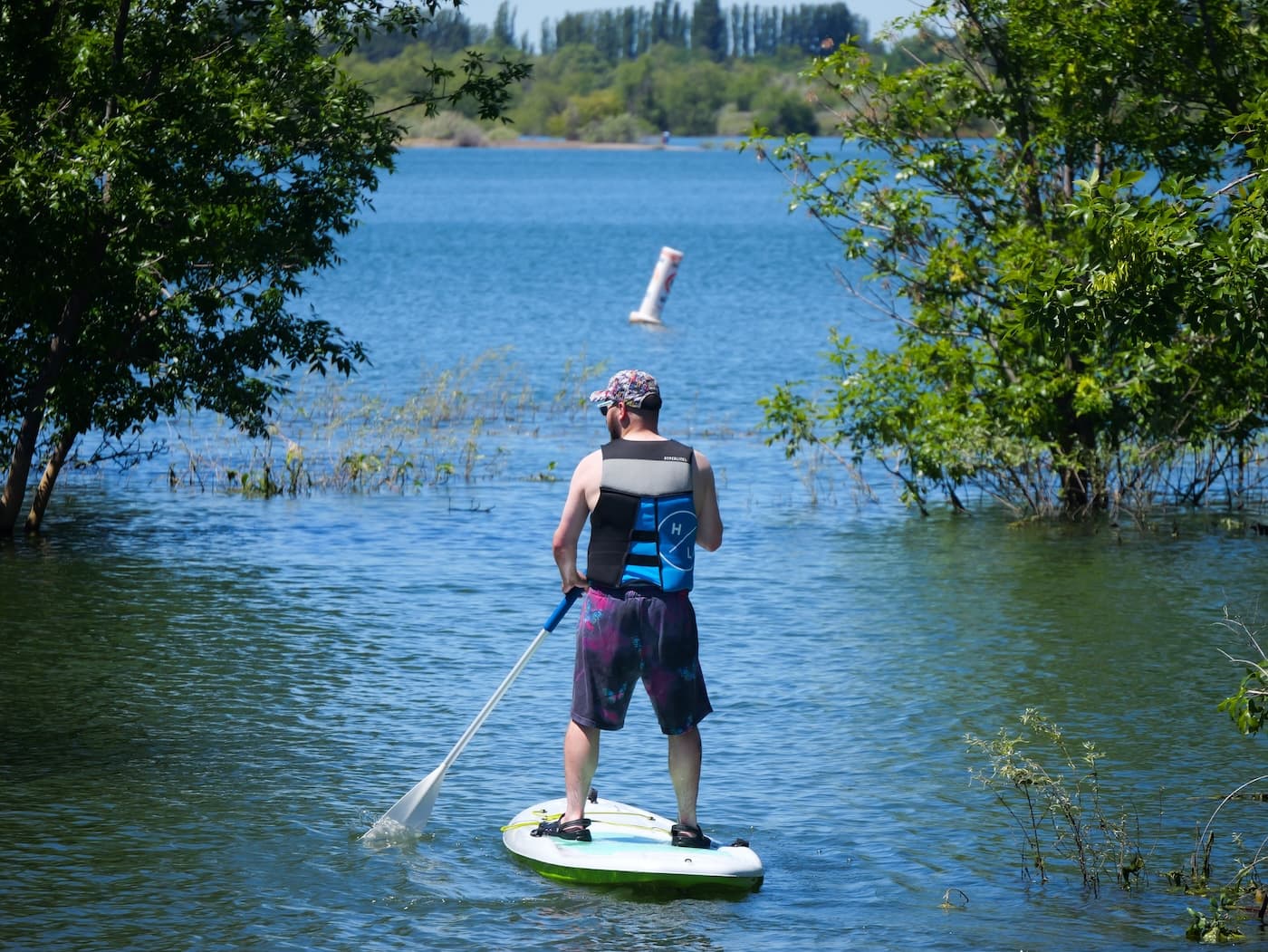 A paddle boarder threading between half submerged trees
